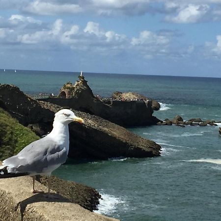 Charmant T2 Biarritz Centre Bagian luar foto