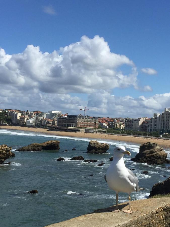 Charmant T2 Biarritz Centre Bagian luar foto
