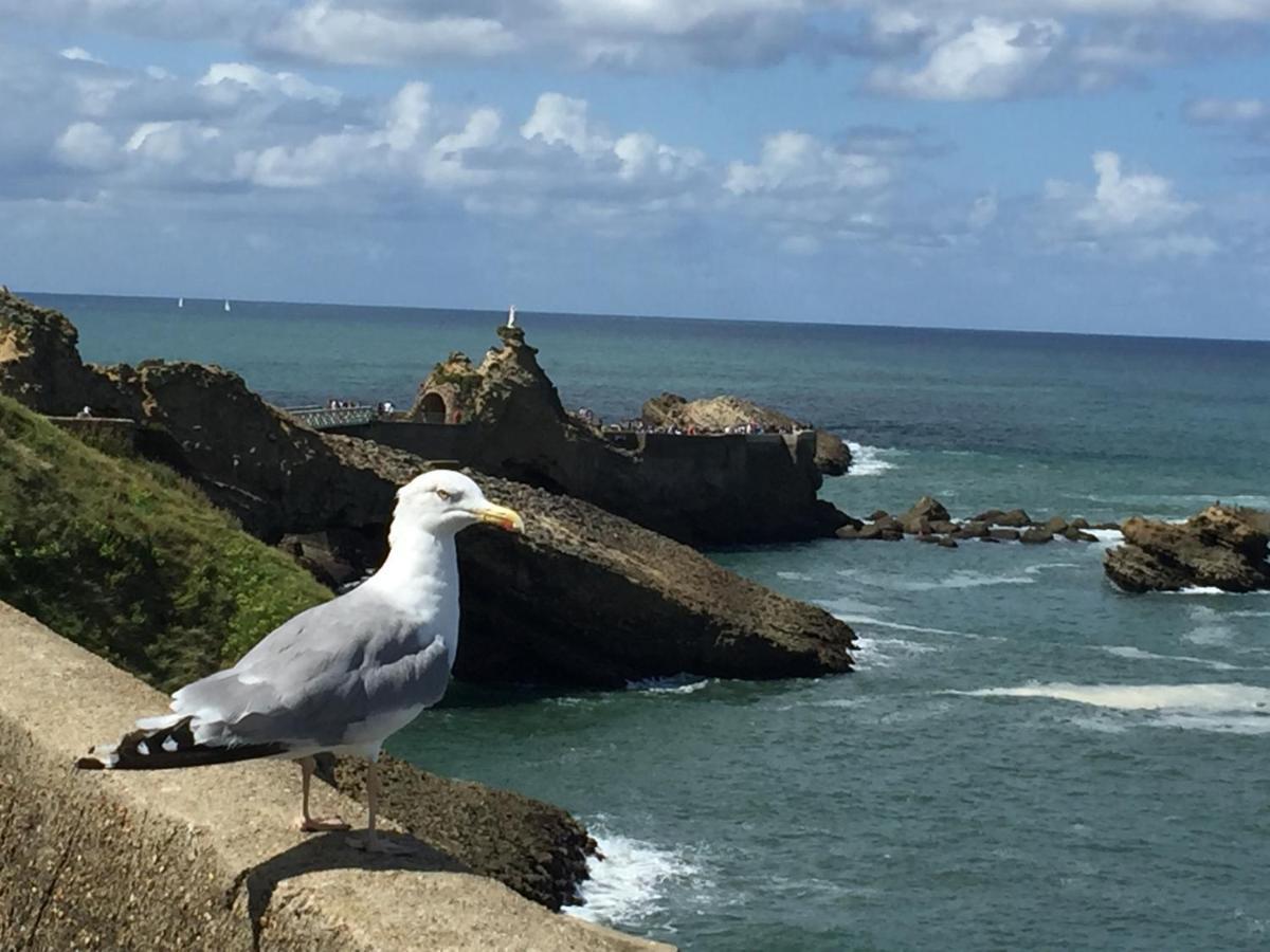 Charmant T2 Biarritz Centre Bagian luar foto